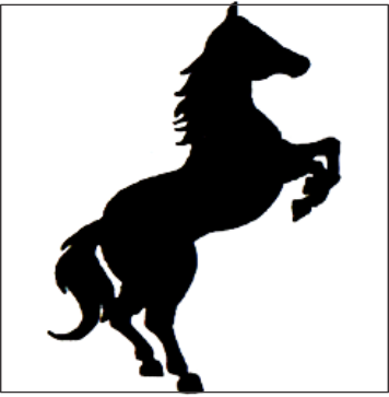 Black Horse Kanpur 